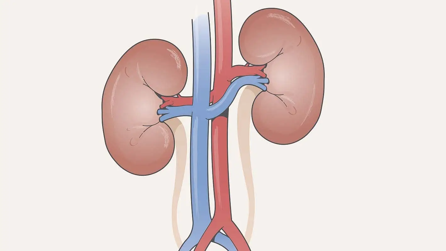 Krónikus vesebetegség (CKD): hagyományos és alternatív gyógyászati megközelítések