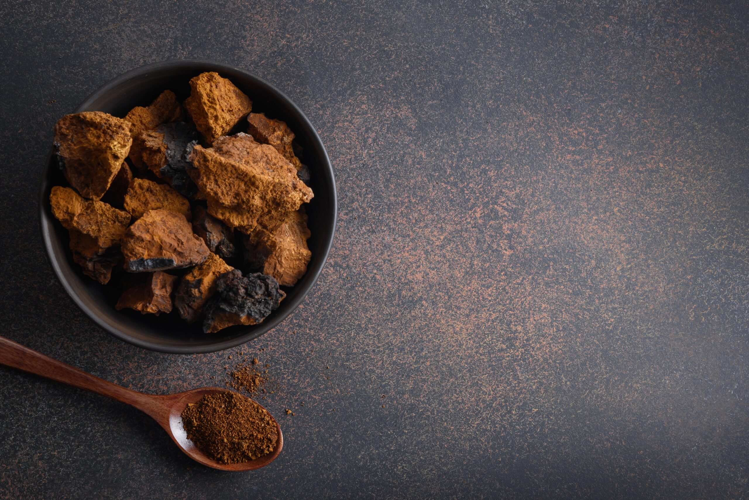 Chaga (Inonotus obliquus)