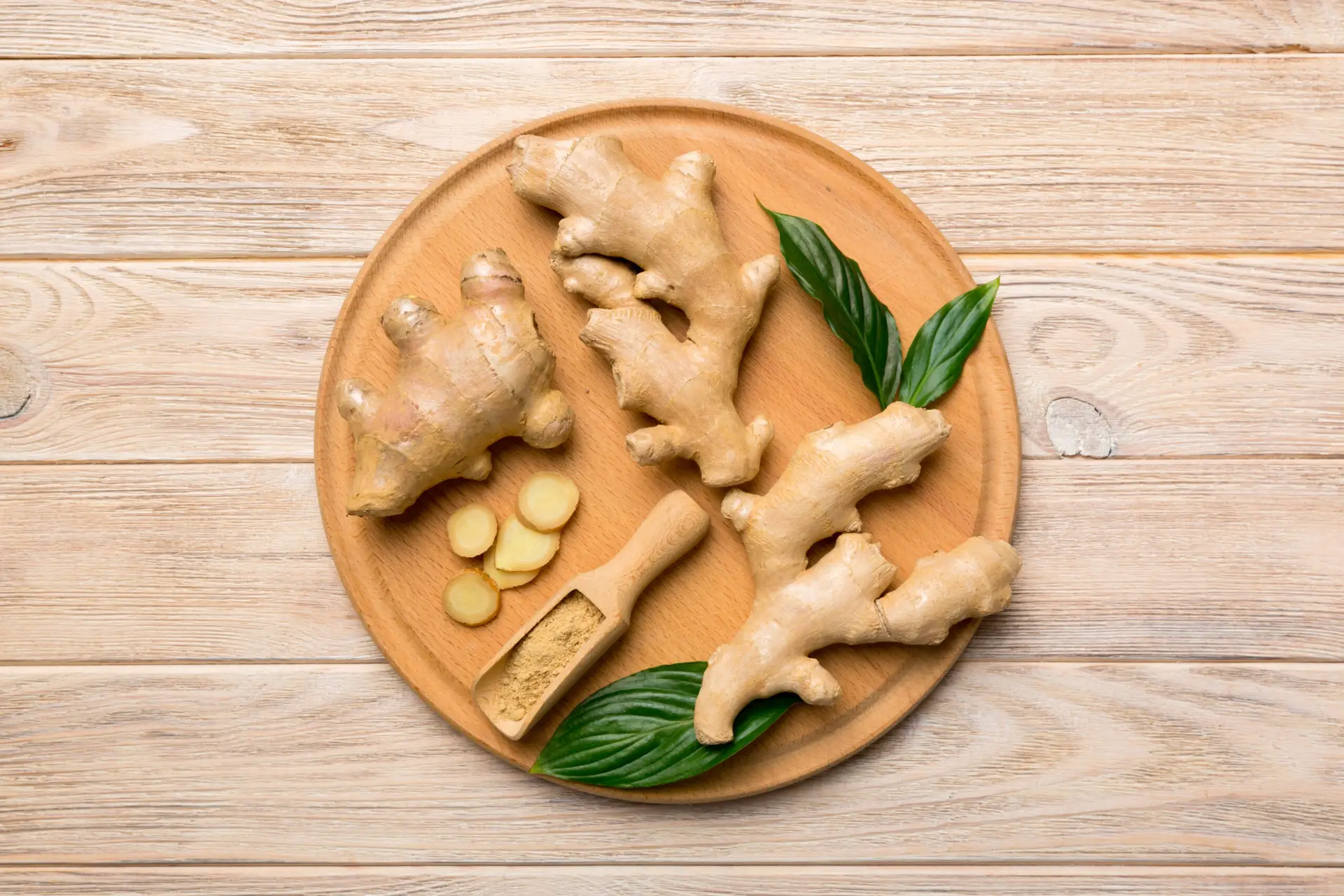 Gyömbér (Zingiber officinale)
